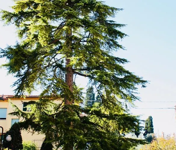 公寓 La Torre Di Caprera *